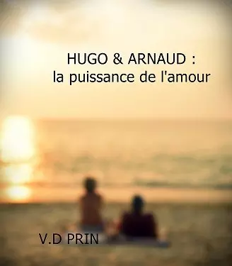 HUGO & ARNAUD : la puissance de l'amour [Format Kindle] V.D PRIN